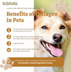 Fieldcrest Farms Nothin to Hide Flip Chips Dog Chews - All Natural Rawhide Alternative Treats for Dogs, Chicken, Beef or Peanut Butter Flavor Snack for All Breed Dogs