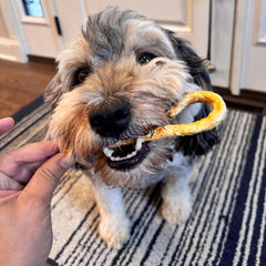 Fieldcrest Farms Nothin' to Hide Mini Holiday