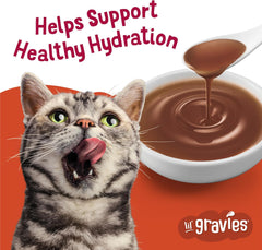 Purina Friskies Lil' Gravies Roast Beef Flavor Cat Food Complement Lickable Cat Treats - (Pack of 16) 1.55 oz. Pouches