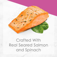 Purina Fancy Feast Gourmet Gravy Wet Cat Food, Petites Seared Salmon With Spinach Entree - (Pack of 12) 2.8 oz. Tubs