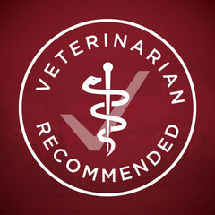 Purina ONE Wet Dog Food True Instinct Classic Ground Grain-Free Formula With Real Beef and Bison High Protein Dog Food - (Pack of 12) 13 oz. Cans