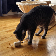 SPOT Naturals Silver Vine Cat Toy – Natural Interactive Enrichment for Cats, Stimulates Play and Reduces Stress, Durable and Safe, Perfect for Indoor Cats and Kittens, Assorted Styles, 1 Piece