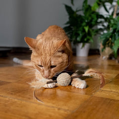 SPOT Naturals Silver Vine Cat Toy – Natural Interactive Enrichment for Cats, Stimulates Play and Reduces Stress, Durable and Safe, Perfect for Indoor Cats and Kittens, Assorted Styles, 1 Piece