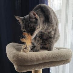 SPOT Naturals Silver Vine Cat Toy – Natural Interactive Enrichment for Cats, Stimulates Play and Reduces Stress, Durable and Safe, Perfect for Indoor Cats and Kittens, Assorted Styles, 1 Piece