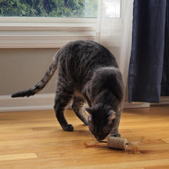 SPOT Naturals Silver Vine Cat Toy – Natural Interactive Enrichment for Cats, Stimulates Play and Reduces Stress, Durable and Safe, Perfect for Indoor Cats and Kittens, Assorted Styles, 1 Piece