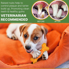 SPOT Bam-Bones Dental Bone - Made with Bamboo Fiber and a Massaging Rubber Center, Durable Oral Care Dog Chew for Light Chewers & Teething Puppies Under 25lbs, Allergen Free Peanut Butter Flavor