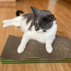 SPOT Wave Cat Scratcher - Corrugated Scratching Board with Wavy Design, Made from 100% Eco-Friendly & Recyclable Cardboard, Encourages Good Scratching Behavior - 17" Board with Catnip Pouch Included