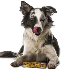 Fieldcrest Farms Nothing to Hide Natural Rawhide Alternative 5'' Rolls for Dogs - 3 Pack (6 Chews) Premium Grade Easily Digestible Chews (Peanut Butter)