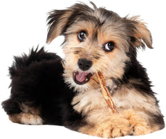 Fieldcrest Farms Nothin' to Hide Twist Stix, Beef Flavor, Easily Digestible, Supports Skin, Coat, Joints & Muscles, for Moderate Chewers Under 15lbs, 50 Pieces