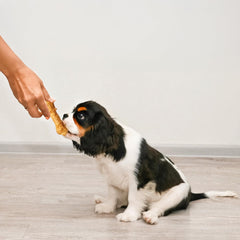 Fieldcrest Farms Nothin' to Hide 3 inch Ultra Knotted Bone Treats - Natural Rawhide Alternative Treats for Dogs, Collagen Based Snack for Heavy Chewers up to 15lbs