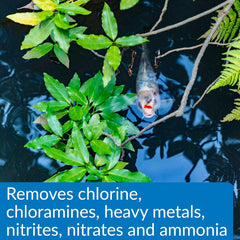 API Aqua Essential Water Conditioner