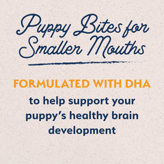 Natural Balance Limited Ingredient Puppy Grain-Free Dry Dog Food, Reserve Duck & Potato Recipe, 22 Pound (Pack of 1)