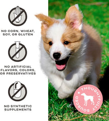 Primal Chicken Jerky Dog Treats Made with Broth, Give Pieces a Chance Training Treat for Dogs