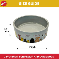 SPOT Best Friends Pet Food Dish - Food or Water Ceramic Bowl for Pets, Ideal for Medium & Large Dogs, Dishwasher Safe, 5 Cups (40oz) Capacity - 7in, Light Grey