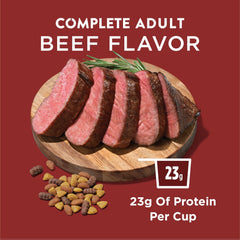 Purina Dog Chow Complete Adult Dry Dog Food Kibble Beef Flavor - 18.5 lb. Bag