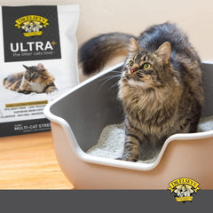 Dr. Elsey's Precious Cat Unscented Ultra+ Cat Litter