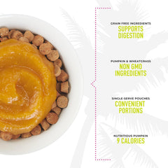 Tiki Cat Born Carnivore Functions Digestion, Pumpkin Recipe Puree, Formulated to Support Healthy Digestion, Mousse Cat Food Topper