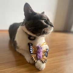 SPOT Love The Earth Butterfly Cat Toy - Eco Friendly Catnip Toy Made with Recycled Plastic Bottles, Soft, Plush, Bright Colored Classic Toy for Indoor Cats and Kittens - 4 inch, Assorted Colors
