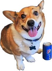 SPOT Ethical Products Fun Drink