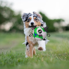 SPOT Dog Soccer Ball with E-Z Tabs - Interactive Fetch and Tug Dog Toy with Heavy Duty Nylon Straps for Carrying, Tossing, and Tugging, Floats in Water, 9in Sports Ball with Air Pump Included