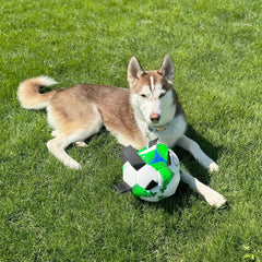 SPOT Dog Soccer Ball with E-Z Tabs - Interactive Fetch and Tug Dog Toy with Heavy Duty Nylon Straps for Carrying, Tossing, and Tugging, Floats in Water, 9in Sports Ball with Air Pump Included