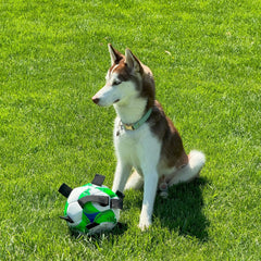 SPOT Dog Soccer Ball with E-Z Tabs - Interactive Fetch and Tug Dog Toy with Heavy Duty Nylon Straps for Carrying, Tossing, and Tugging, Floats in Water, 9in Sports Ball with Air Pump Included