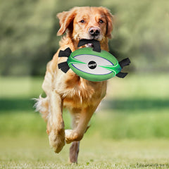 SPOT Ethical Products Tabbie Football