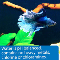 API Betta Water