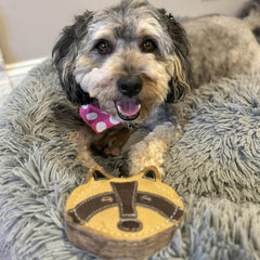 SPOT Dura-Fused Chunkies Raccoon - All Natural Leather and Felt Dog Toy - No Squeak, No Fluff, Durable, Extra Thick Dog Chew Toy for Aggressive Chewers, Great for Adult Dogs and Teething Puppies, 5in