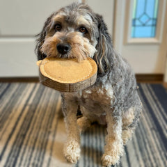 SPOT Dura-Fused Chunkies Raccoon - All Natural Leather and Felt Dog Toy - No Squeak, No Fluff, Durable, Extra Thick Dog Chew Toy for Aggressive Chewers, Great for Adult Dogs and Teething Puppies, 5in