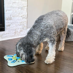 SPOT Seek A Treat Slide' N Turn Puzzle -Interactive Dog Puzzle Toy for Small, Medium & Large Smart Dogs and Cats, Squeaky, Enrichment and Mentally Stimulating Toy for Training and Boredom Buster