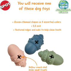 SPOT Ethical Products Love The Conch Shell 5.5" Assorted