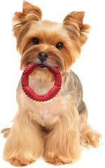 SPOT Barrett Tough Ring, Rubber Dog Toy for Agressive Chewers, 5in