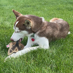 SPOT Dura-Fused Chunkies Fox - All Natural Leather and Felt Dog Toy - No Squeak, No Fluff, Durable, Extra Thick Dog Chew Toy for Aggressive Chewers, Great for Adult Dogs and Teething Puppies, 5in