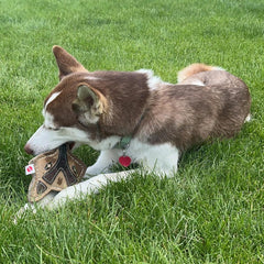 SPOT Dura-Fused Chunkies Fox - All Natural Leather and Felt Dog Toy - No Squeak, No Fluff, Durable, Extra Thick Dog Chew Toy for Aggressive Chewers, Great for Adult Dogs and Teething Puppies, 5in