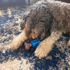 SPOT Bam-Bones Plus Dental Chew Bone - Bamboo Fiber & Nylon with a Massaging Rubber Center, Durable Long Lasting Oral Care Dog Chew for Aggressive Chewers & Teething Puppies, 6.5in, Bacon Flavor