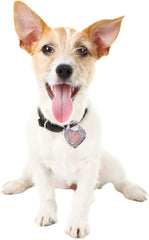 SPOT Soothers- On The Go Sachets- Separation Anxiety Toys for Dogs & Puppies, Scented with Calming Lavender Fragrance Beads to Safely Calm Pets During Travel and Vet Visits, 2pcs