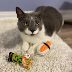 SPOT Sushi Take-out- Cat Plush Toys with Catnip & Silverine Blend, Cute and Funny Toys For Indoor Cats & Kittens, Perfect for Batting and Chasing - 4 inch, Assorted 2-Pack, Styles May Vary