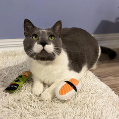 SPOT Sushi Take-out- Cat Plush Toys with Catnip & Silverine Blend, Cute and Funny Toys For Indoor Cats & Kittens, Perfect for Batting and Chasing - 4 inch, Assorted 2-Pack, Styles May Vary
