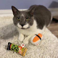 SPOT Sushi Take-out- Cat Plush Toys with Catnip & Silverine Blend, Cute and Funny Toys For Indoor Cats & Kittens, Perfect for Batting and Chasing - 4 inch, Assorted 2-Pack, Styles May Vary