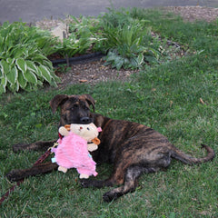 SPOT Soothers- Tabbie Lambie Dog Toy-Separation Anxiety Toys for Dogs, Stuffing Free, Scented with Calming Lavender Fragrance Beads to Safely Calm and Relax Dogs and Puppies