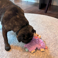 SPOT Soothers- Tabbie Lambie Dog Toy-Separation Anxiety Toys for Dogs, Stuffing Free, Scented with Calming Lavender Fragrance Beads to Safely Calm and Relax Dogs and Puppies