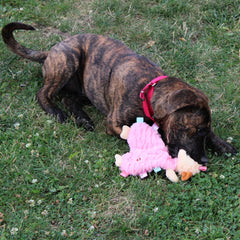 SPOT Soothers- Tabbie Lambie Dog Toy-Separation Anxiety Toys for Dogs, Stuffing Free, Scented with Calming Lavender Fragrance Beads to Safely Calm and Relax Dogs and Puppies