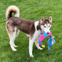 SPOT Snuffle Roll Puzzle Toy - Interactive Feeding Toy for Dogs, Provides Mental Stimulation, Roll-Up Toy, 3 Pockets to Hide Treats, Crinkle and 2 Squeakers - 25Inch Puzzle Toy, Style May Vary