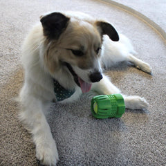 SPOT Barrett Tough Tennis Jumble Dog Toy for Large Dogs - Durable Rubber Barrel & Ball Combo, Virtually Indestructible Puzzle Toy with Textured Surface for Dental Health, 4 in Barrel & 2.5 in Ball