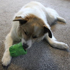 SPOT Barrett Tough Tennis Jumble Dog Toy for Large Dogs - Durable Rubber Barrel & Ball Combo, Virtually Indestructible Puzzle Toy with Textured Surface for Dental Health, 4 in Barrel & 2.5 in Ball