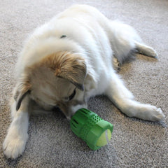 SPOT Barrett Tough Tennis Jumble Dog Toy for Large Dogs - Durable Rubber Barrel & Ball Combo, Virtually Indestructible Puzzle Toy with Textured Surface for Dental Health, 4 in Barrel & 2.5 in Ball