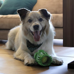 SPOT Barrett Tough Tennis Jumble Dog Toy for Large Dogs - Durable Rubber Barrel & Ball Combo, Virtually Indestructible Puzzle Toy with Textured Surface for Dental Health, 4 in Barrel & 2.5 in Ball