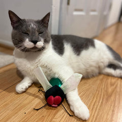 SPOT Ethical Products Buzzing Insects 5" Assorted