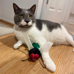 SPOT Ethical Products Buzzing Insects 5" Assorted